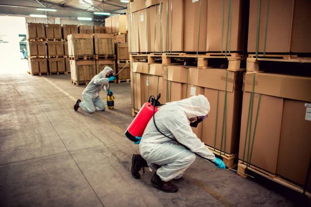Best Wildlife Control Services  in Decatur, AR
