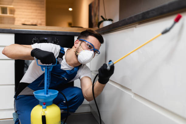 Best Wasp Removal Services  in Decatur, AR