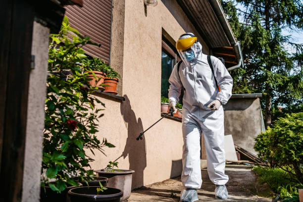 Best Local Pest Control Services  in Decatur, AR