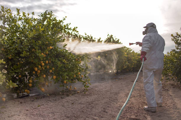 Best Pest Removal Services  in Decatur, AR