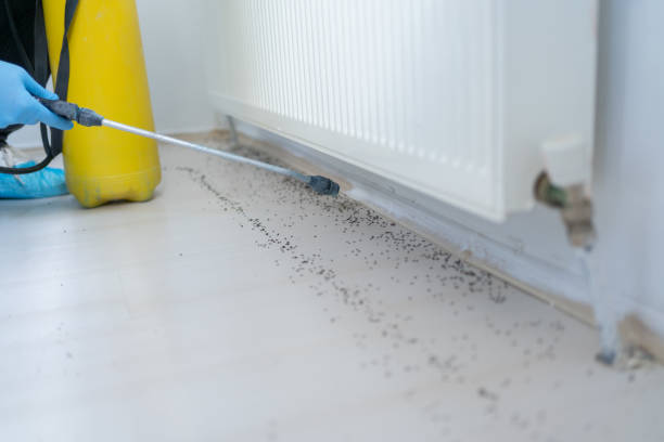 Best Emergency Pest Control  in Decatur, AR