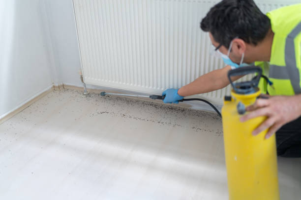 Best Wasp Removal Services  in Decatur, AR