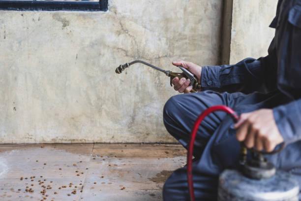Best Affordable Pest Control Services  in Decatur, AR