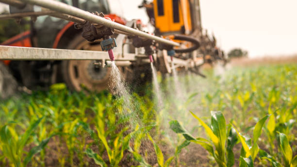 Best Mosquito Control Services  in Decatur, AR